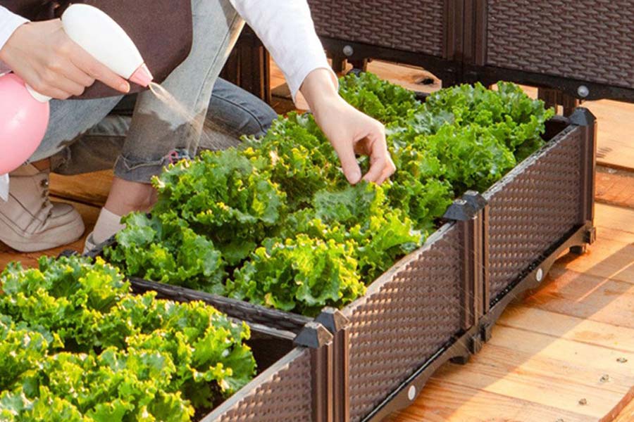 Best Planter Boxes