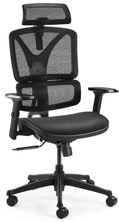 Top 7 Best Ergonomic Chairs in NZ - 2024