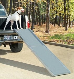 Dog Ramp