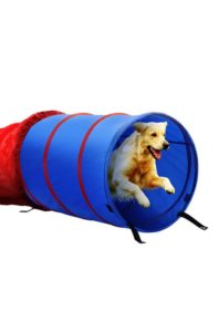 Puppy Agility Equipment