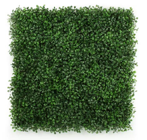 Top 5 Best Artificial Hedges in NZ - 2024