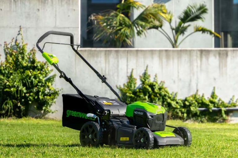 Top 5 Best Electric Lawn Mowers In NZ 2024