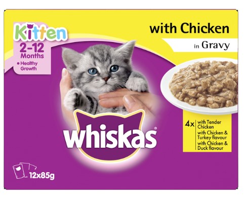 Top 5 Best Kitten Wet Foods In NZ - 2024