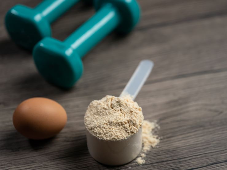 Top 10 Best Protein Powder in NZ 2024 Boost Your Fitness