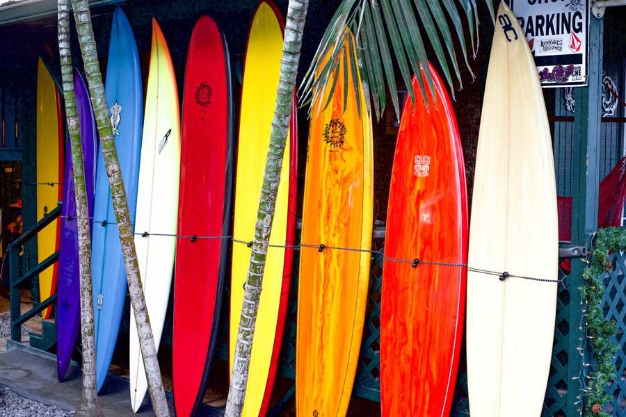 Best Surfboards in NZ