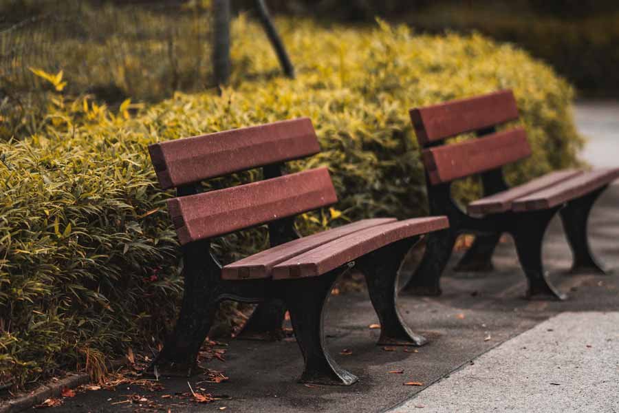 Best Outdoor Bench