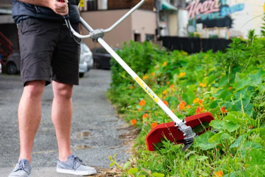 Best Petrol Line Trimmer