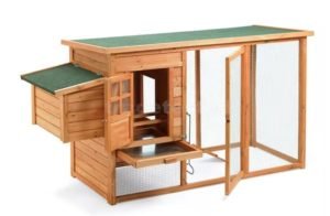 Wooden Chicken Coop 