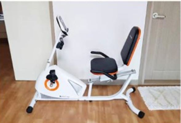 Best Recumbent Exercise Bike nz