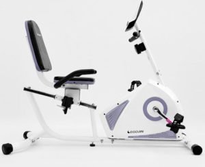 Egojin Recumbent Bike