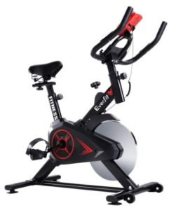 Everfit spin bike