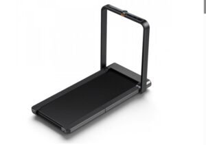 KingSmith WalkingPad X21